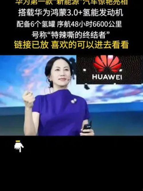 国产你懂,揭秘国产你懂背后的创新与实力 第2张 国产你懂,揭秘国产你懂背后的创新与实力 第2张