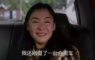 国产你懂,揭秘国产你懂背后的创新与实力 第2张 国产你懂,揭秘国产你懂背后的创新与实力 第2张