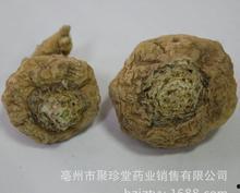 特黄国产,探寻神秘东方古国的传奇与魅力 第2张 特黄国产,探寻神秘东方古国的传奇与魅力 第2张