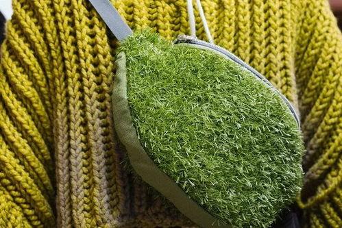 青青青草国产免费观看,国产免费观看,绿色生态影视盛宴 第3张 青青青草国产免费观看,国产免费观看,绿色生态影视盛宴 第3张