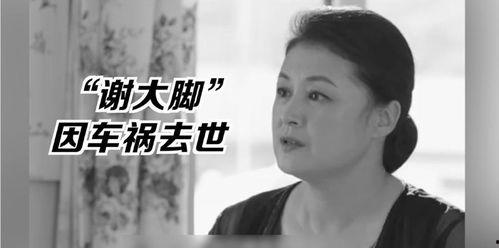 娱乐圈的吃瓜影帝笔趣阁小说,娱乐圈幕后风云录